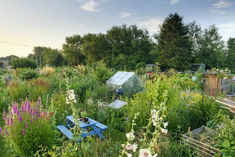 Piešķirtais dārzs Oksfordšīrā iegūst BBC dārznieku pasaules žurnāla Gada dārza balvu 2021