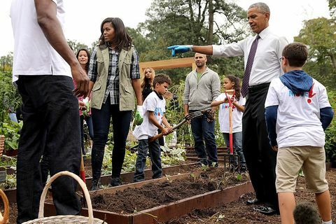 ASV pirmā lēdija Mišela Obama un prezidents Baraks Obama rīko pasākumu, lai novāktu Baltā nama virtuves dārzu Baltā nama dienvidu zālienā 2016. gada 6. oktobrī Vašingtonā, DC